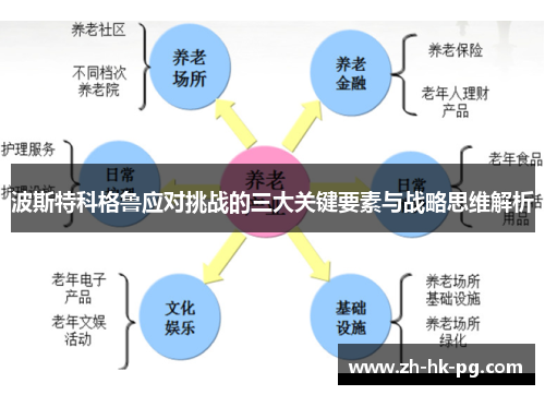 波斯特科格鲁应对挑战的三大关键要素与战略思维解析 波斯特科格鲁应对挑战的三大关键要素与战略思维解析