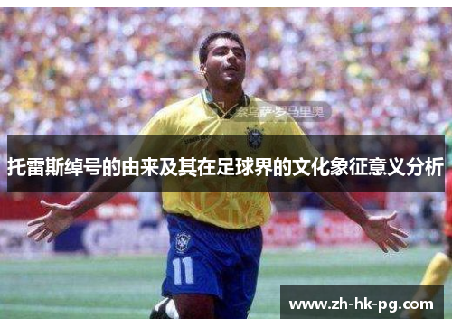 托雷斯绰号的由来及其在足球界的文化象征意义分析 托雷斯绰号的由来及其在足球界的文化象征意义分析