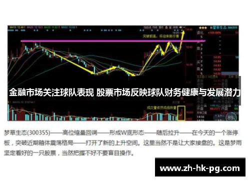金融市场关注球队表现 股票市场反映球队财务健康与发展潜力